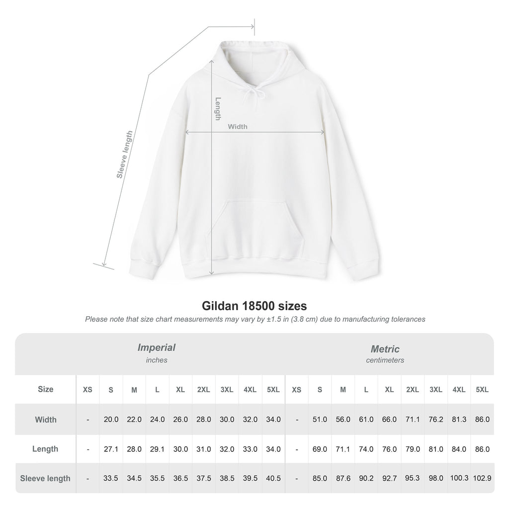 Kite Plan Assa? | Goan Heritage Heavy Blend Hoodie — Hammock Edition
