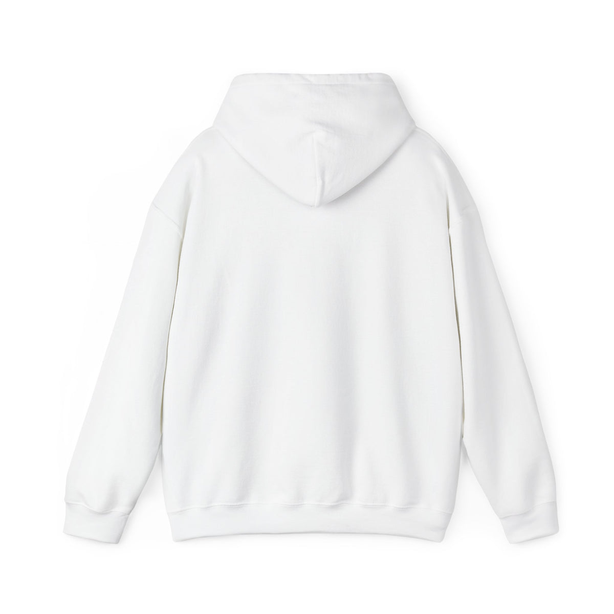 Malwa Motorcycle Graphic Hoodie | Punjabi Biker Streetwear