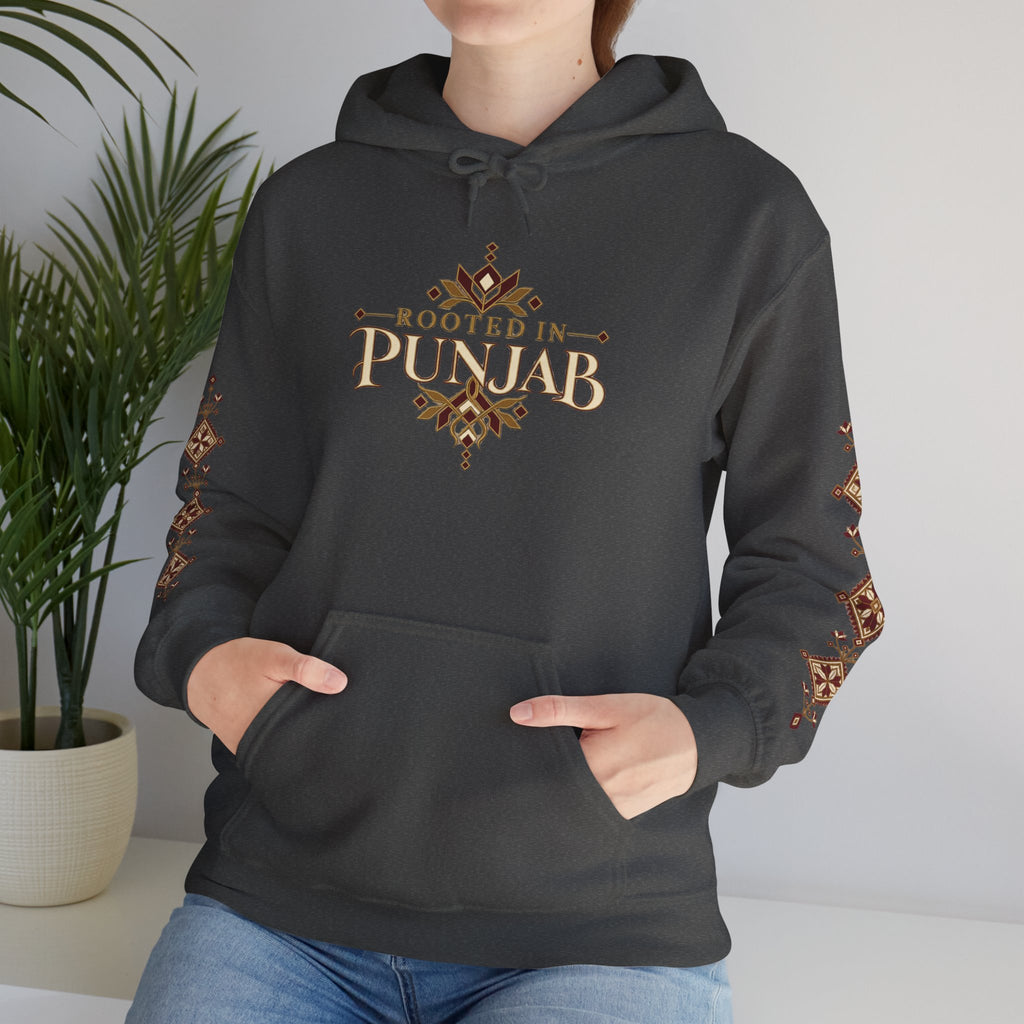 Rooted in Punjab Heritage Hoodie