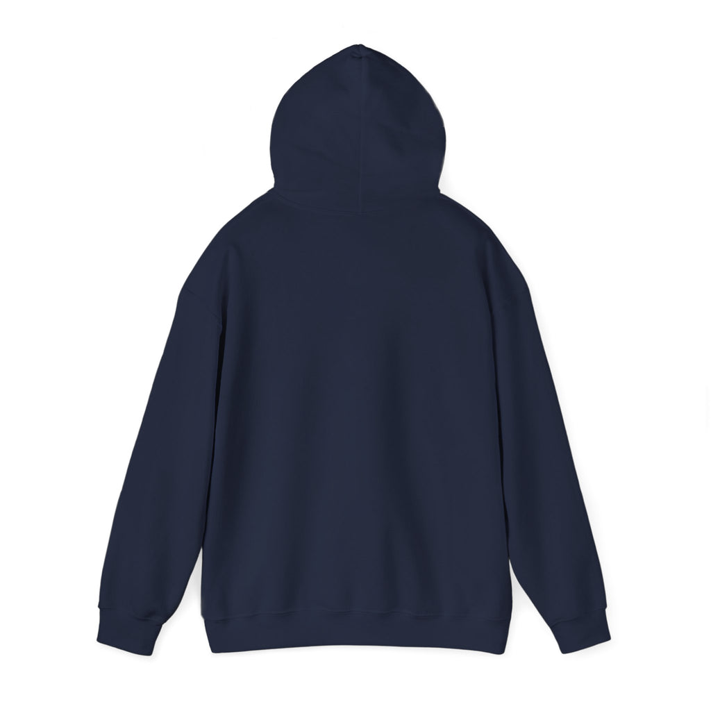 Kite Plan Assa? | Goan Heritage Heavy Blend Hoodie — Hammock Edition