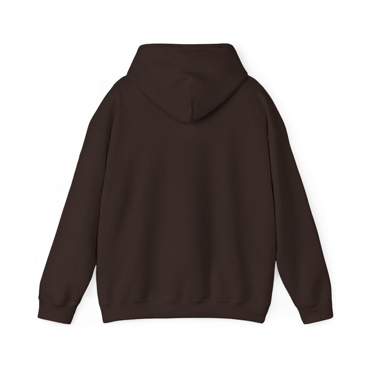 Kite Plan Assa? | Goan Heritage Heavy Blend Hoodie — Hammock Edition