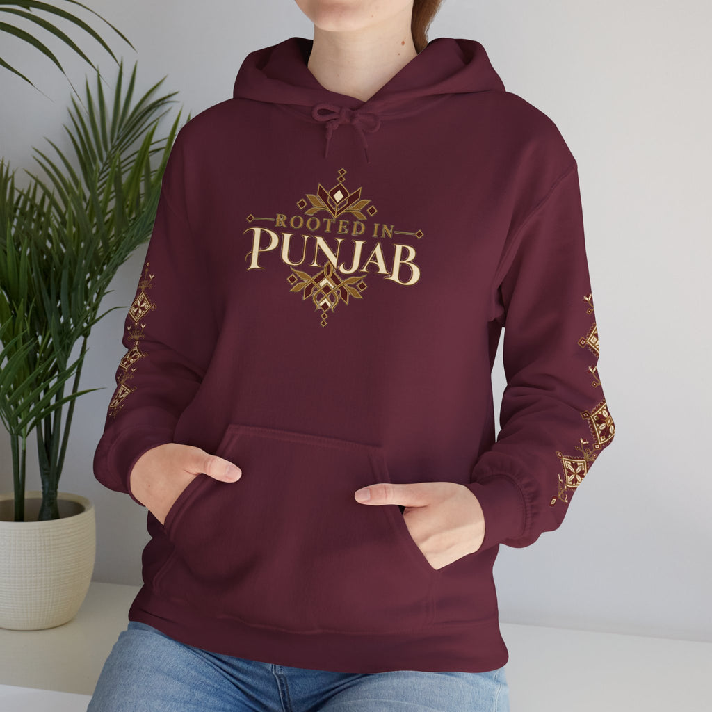 Rooted in Punjab Heritage Hoodie