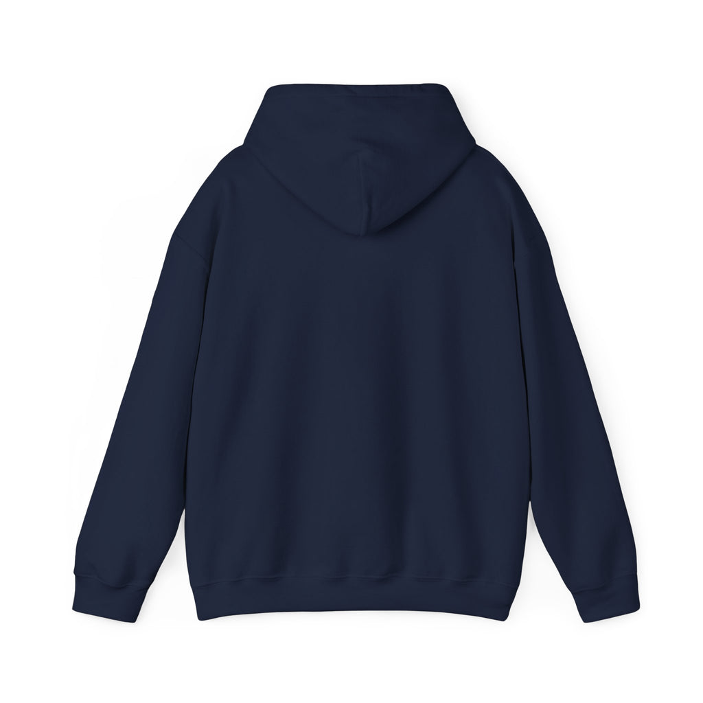 Sardar Retro Fighter Graphic Hoodie | Punjabi Heritage Pullover