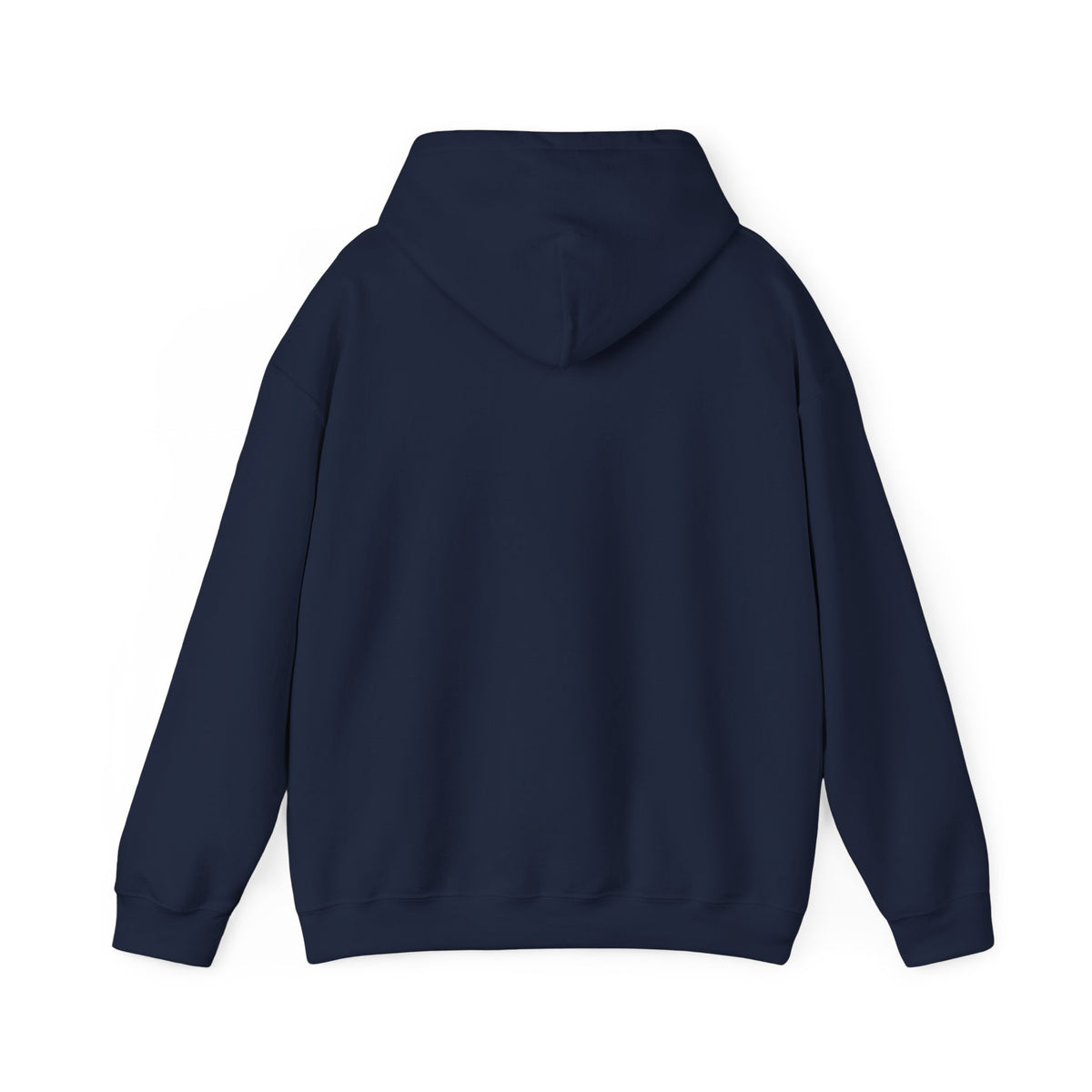 Kite Plan Assa? | Goan Heritage Heavy Blend Hoodie — Hammock Edition