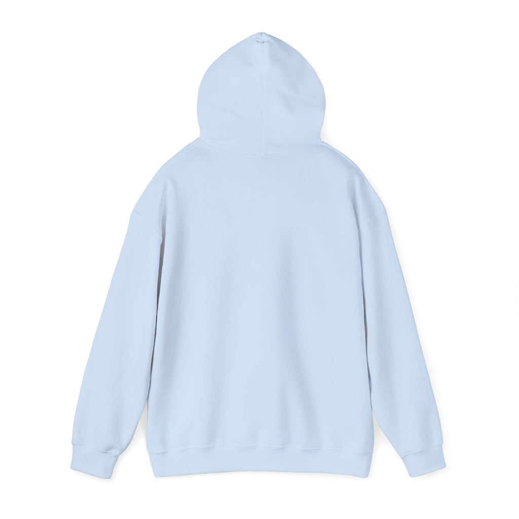 Sardar Retro Fighter Graphic Hoodie | Punjabi Heritage Pullover