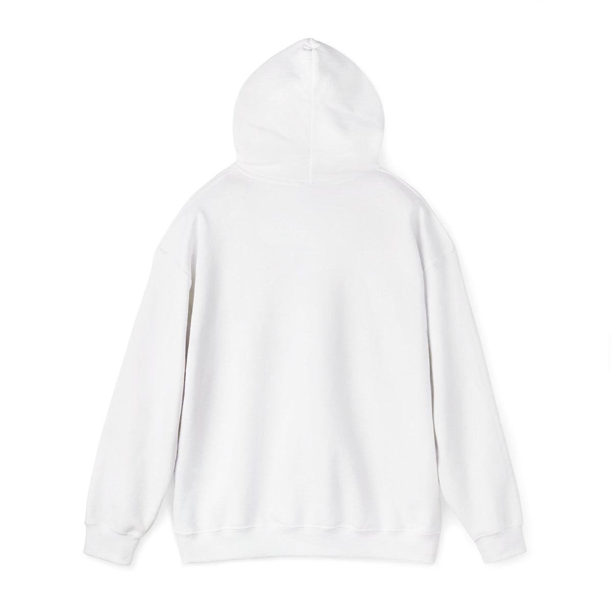 Punjabi Pride Graphic Hoodie | Illustrated Heritage Pullover