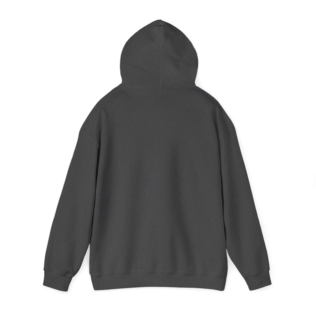 Sardar Retro Fighter Graphic Hoodie | Punjabi Heritage Pullover