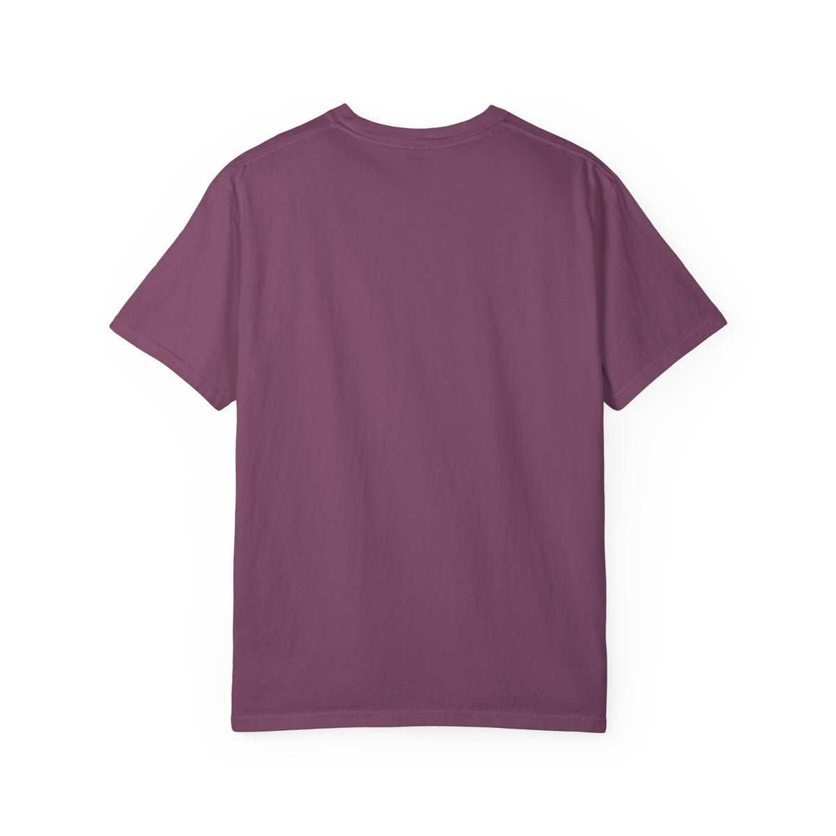Pindo to Pardes Travel Graphic T-Shirt