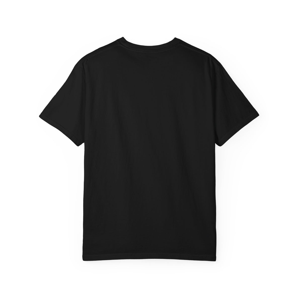 Punjabi Pride T-Shirt — Bold Nihang Warrior Design