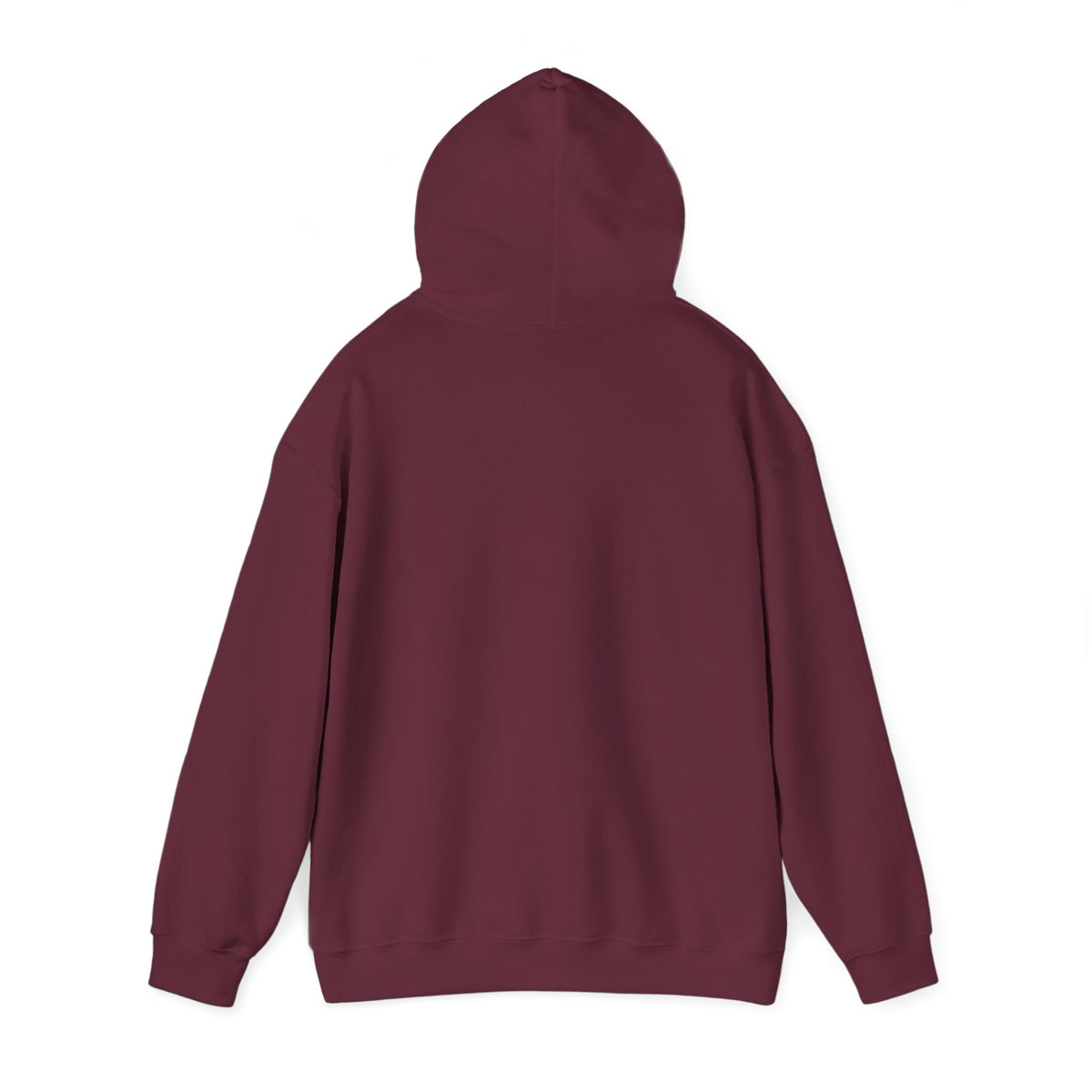 Kite Plan Assa? | Goan Heritage Heavy Blend Hoodie — Hammock Edition